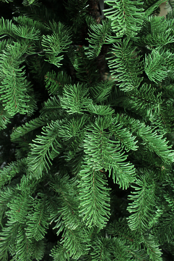 

Ель искусственная greenwood 2,1, 2,1