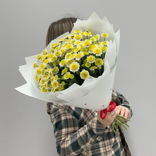 

Букет цветов, Boom Bouquet, сантини, 11шт, 45см, желто-белый