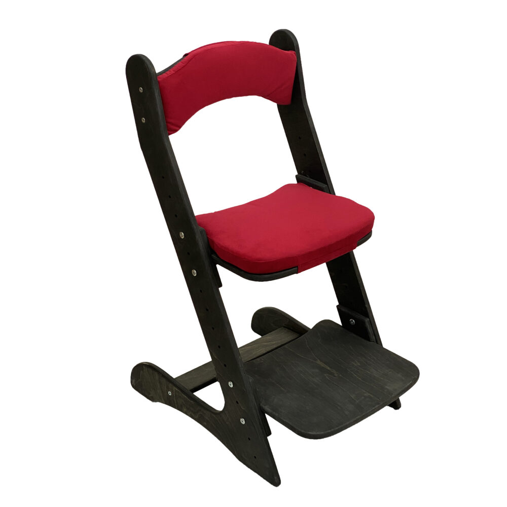 фото Детский стул компаньон растущий черный венге с комплектом подушек red движение - жизнь