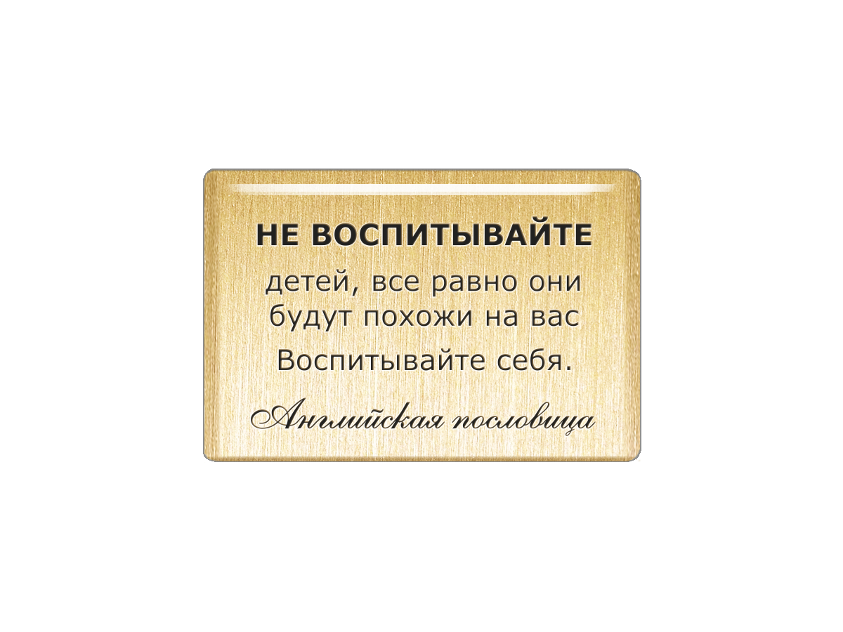 

Магнит Не воспитывайте детей, все равно они будут похожи на вас. Воспитывайте себя, Т18.235.02.00