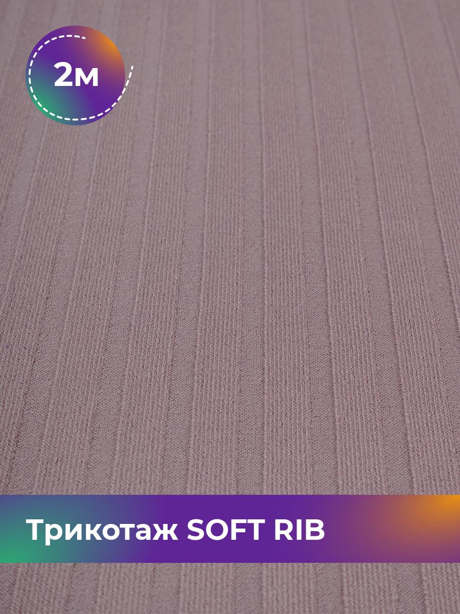 

Ткань Трикотаж SOFT RIB Shilla, отрез 2 м * 140 см, Фиолетовый, 17443835