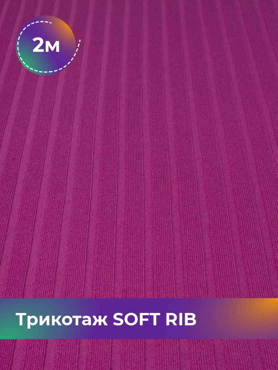 

Ткань Трикотаж SOFT RIB Shilla, отрез 2 м * 140 см фиолетовый 2_20092.046, 17443835