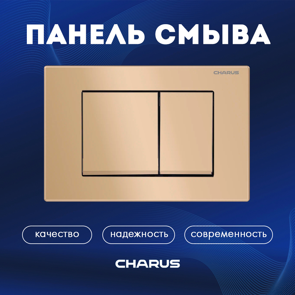 Смывная клавиша CHARUS Minimalista, FP.310.51.01, двойной смыв, матовый песок, пластик