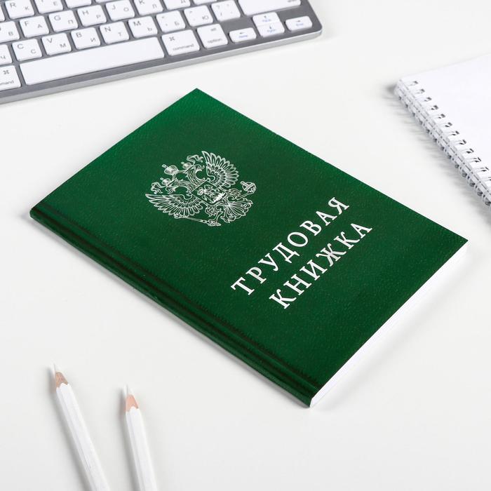 

Ежедневник ArtFox "Трудовая книжка", А5, 80 листов,2 штуки