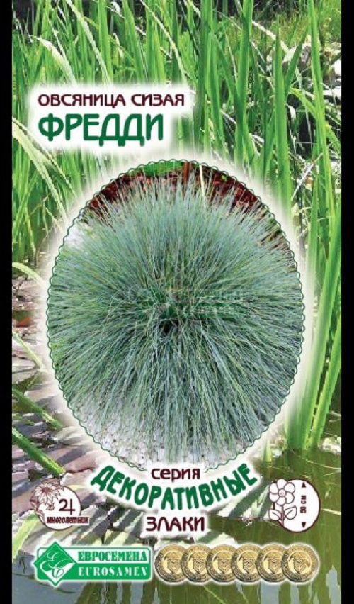 

Семена цветов Евросемена Овсяница сизая Фредди 31413 1 шт
