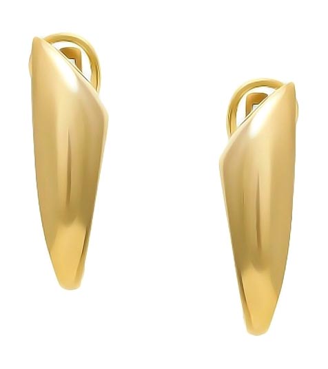 

Серьги из серебра без вставки FJORD A-45, A-45