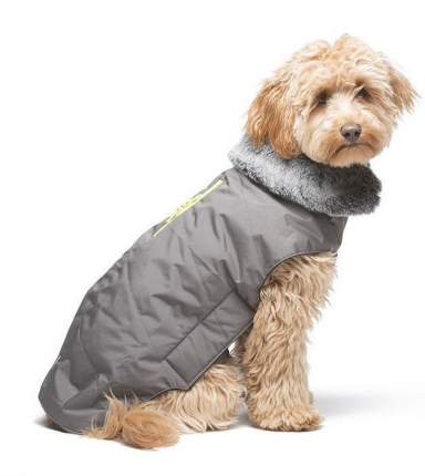 Dog gone clearance smart tamarack coat