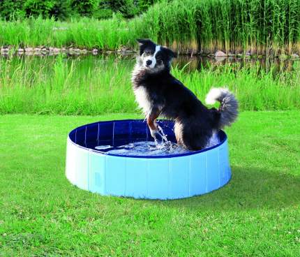 Бассейн для собак TRIXIE Dog Pool, сине-голубой, 80х80х20 см