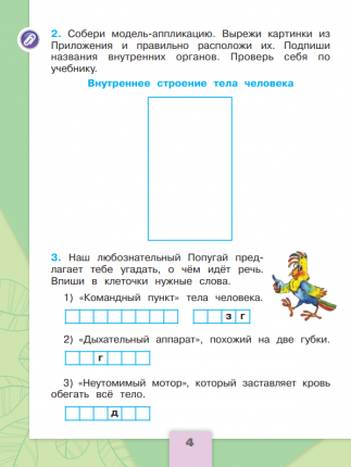 Урок по окружающему миру «Строение тела человека»