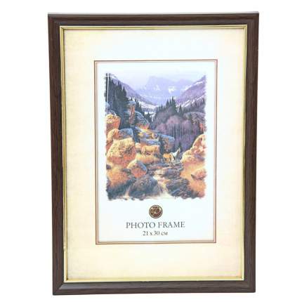 Фоторамка пластиковая (21x30 см) PS   ...