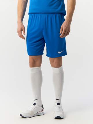 Шорты Nike BV6855, голубой, L INT