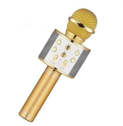 Микрофон-колонка NoBrand 4434.2 Gold