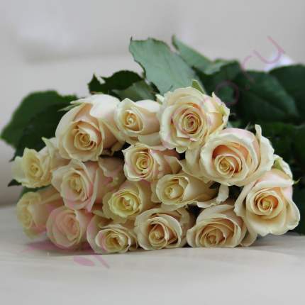 Монобукет из 15 кремовых роз FlorPro Талея 40 см