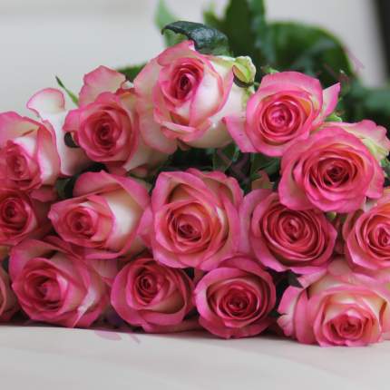 Монобукет из 15 розовых роз FlorPro Джумилия 40 см