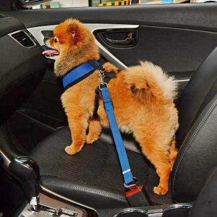 Ремень безопасности для собак автомобильный PUPPIA, синий