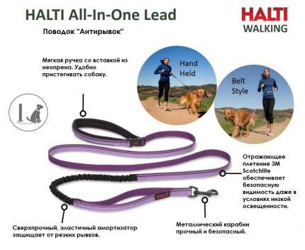 Поводок универсальный для собак COA HALTI All-In-One-Lead, нейлон, голубой, длина 2.1 м