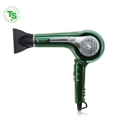 Фен TS BLDC DRYER 1850 Вт зеленый, серебристый, черный
