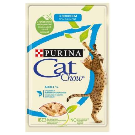 Purina best sale cat show