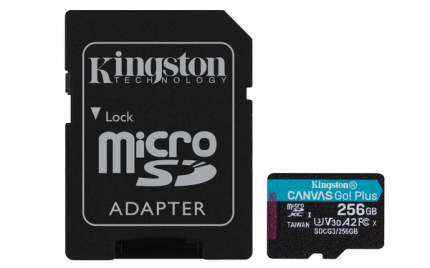 Карта памяти Kingston 256GB Canvas Go! Plus 170R +адаптер (SDCG3/256GB)