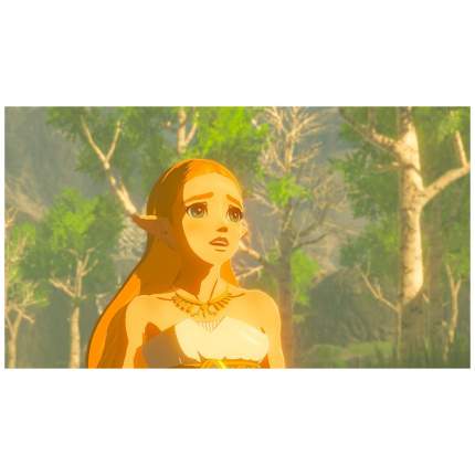 Игра Legend of Zelda: Breath of the Wild для Nintendo Switch