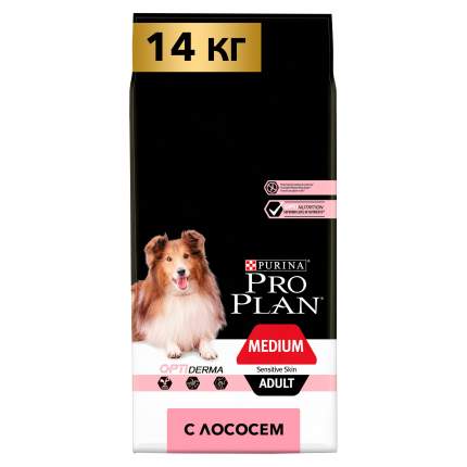 Сухой корм для собак PRO PLAN при чувствительной коже для средних пород с лососем, 14 кг