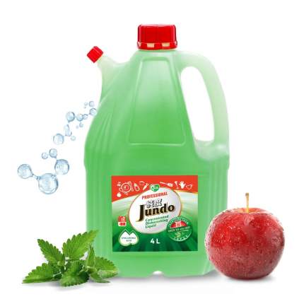 Концентрированный ЭКО гель для посуды и детских принадлежностей Jundo Green tea Mint 4 л