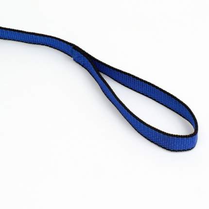 Поводок для собак Пижон 3мх2 см сине-чёрный