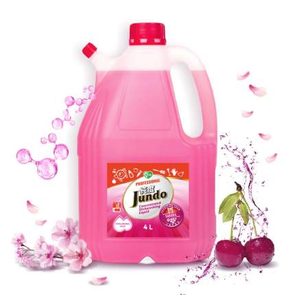 ЭКО гель Jundo Sakura с гиалуроновой кислотой д/мытья посуды и детских принадлежностей,4 л
