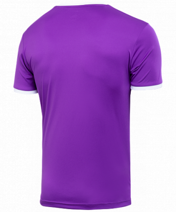 Футболка Jogel Camp Origin, violet/white, L INT
