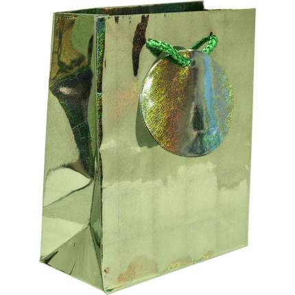 Пакет подарочный Winter Wings голография 11 х 14 х 6 см цвета в ассортименте