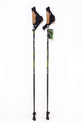 Палки для скандинавской ходьбы Finpole Eco, черный/зеленый, 115 см