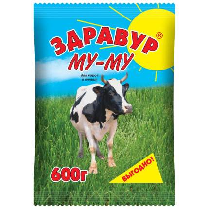 Купить Здравур Несушка В Спб Адреса Магазинов Купить Здравур Несушка В Спб Адреса Магазинов