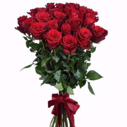 Букет из 25 красных роз Эквадор 60 см
