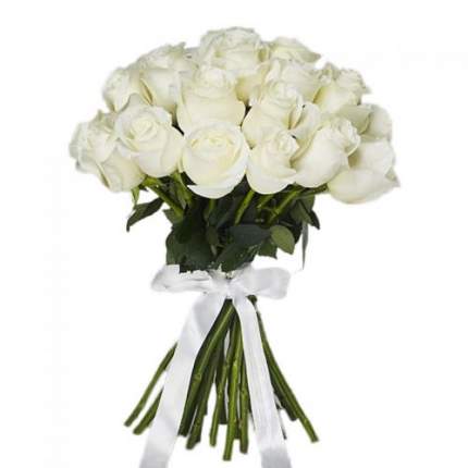 Букет из 25 белых роз Эквадор 60 см
