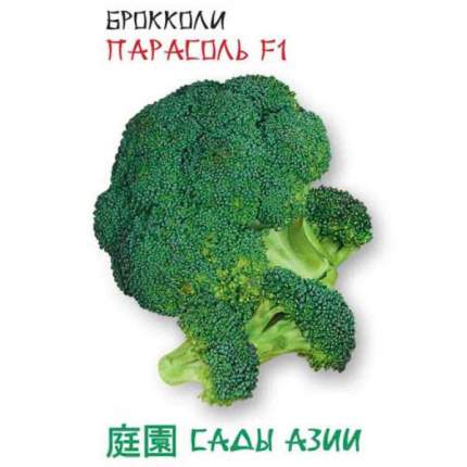 brokkoli merevedés