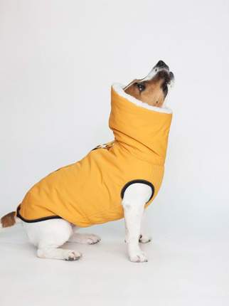 Одежда для собак купить в интернет-магазине Филя с доставкой в день заказа в Санкт-Петербурге