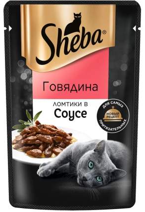 Прогулка с кошкой: советы и секреты