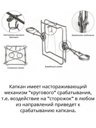 Охотник читает