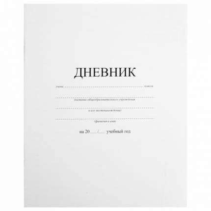 Дневник Пифагор для 1-11 класса белый 40 л