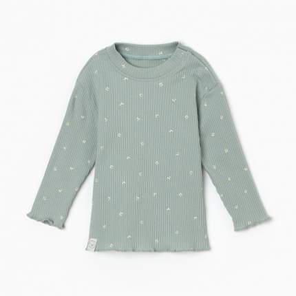 Футболка с дл. рукавом Крошка Я Olives, р. 68-74, оливковыйДля кого: Для девочкиРазмер: 24Размер упаковки: 25  ...