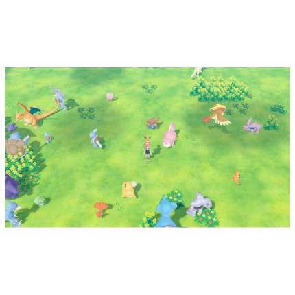 Игра Pokemon Lets Go Eevee для Nintendo Switch