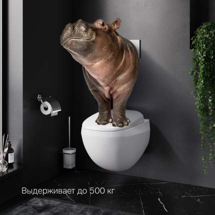 Подвесной унитаз Am Pm Sensation безободковый (C301700WH)