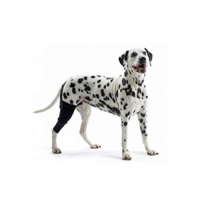 Протектор для собак Kruuse Rehab на левое колено для собак весом 22-30 кг, черный, M
