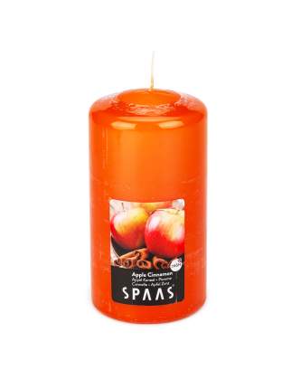 Свеча SPAAS Яблоко с корицей 15 см
