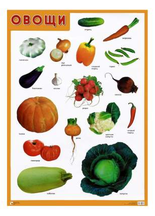 Интерактивный плакат Мозаика-Синтез Овощи