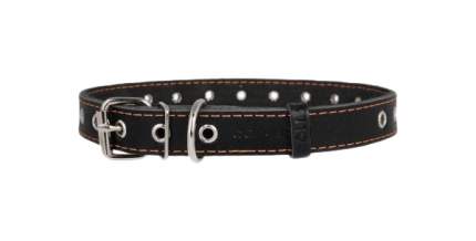 Ошейник для собак Collar, кожаный, безразмерный, черный 60 см x 25 мм