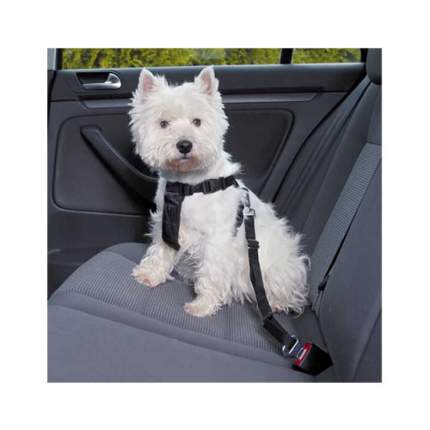 Ремень безопасности для собак TRIXIE, автомобильный, обхват живота/груди: 20-50 см, XS