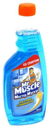 Универсальное чистящее средство Mr.Muscle профессионал для стекол 500 мл