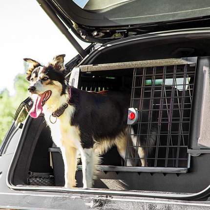 IMAC Переноска для собак в машину DOG 1, 89х53х50см