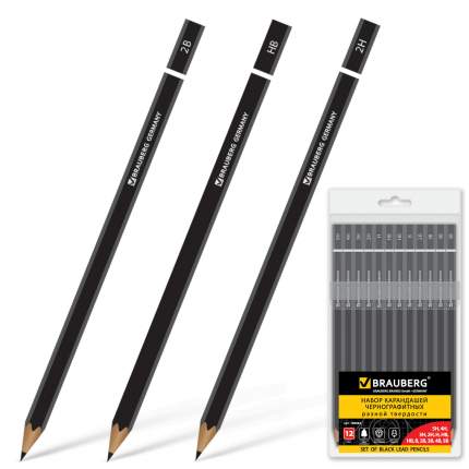 Набор карандашей чернографитных BRAUBERG Touch line 180652 Черный 12 шт
